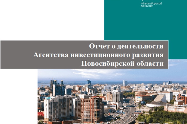 Генеральный директор АИР Александр Зырянов выступил на заседании бюджетного комитета Законодательного Собрания Новосибирской области